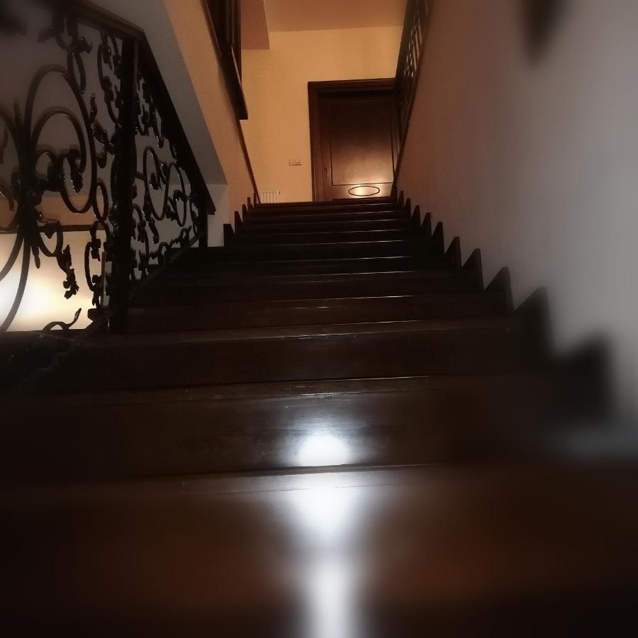 Penthouse Renasterii Apartment Timisoara